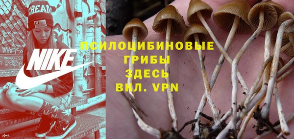 ALPHA PVP Магадан