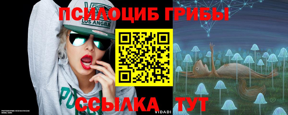 Псилоцибиновые грибы Magic Shrooms  Вход с VPN  Фролово 